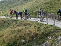 TA 2005-06-Tag-68 : MTB, Transalp, Transalp 2005