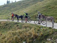 TA 2005-06-Tag-69 : MTB, Transalp, Transalp 2005