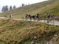 TA 2005-06-Tag-70 : MTB, Transalp, Transalp 2005