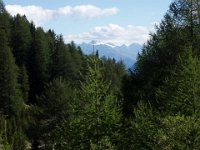 TA 2006-04-Tag-23 : MTB, Transalp, Transalp 2006